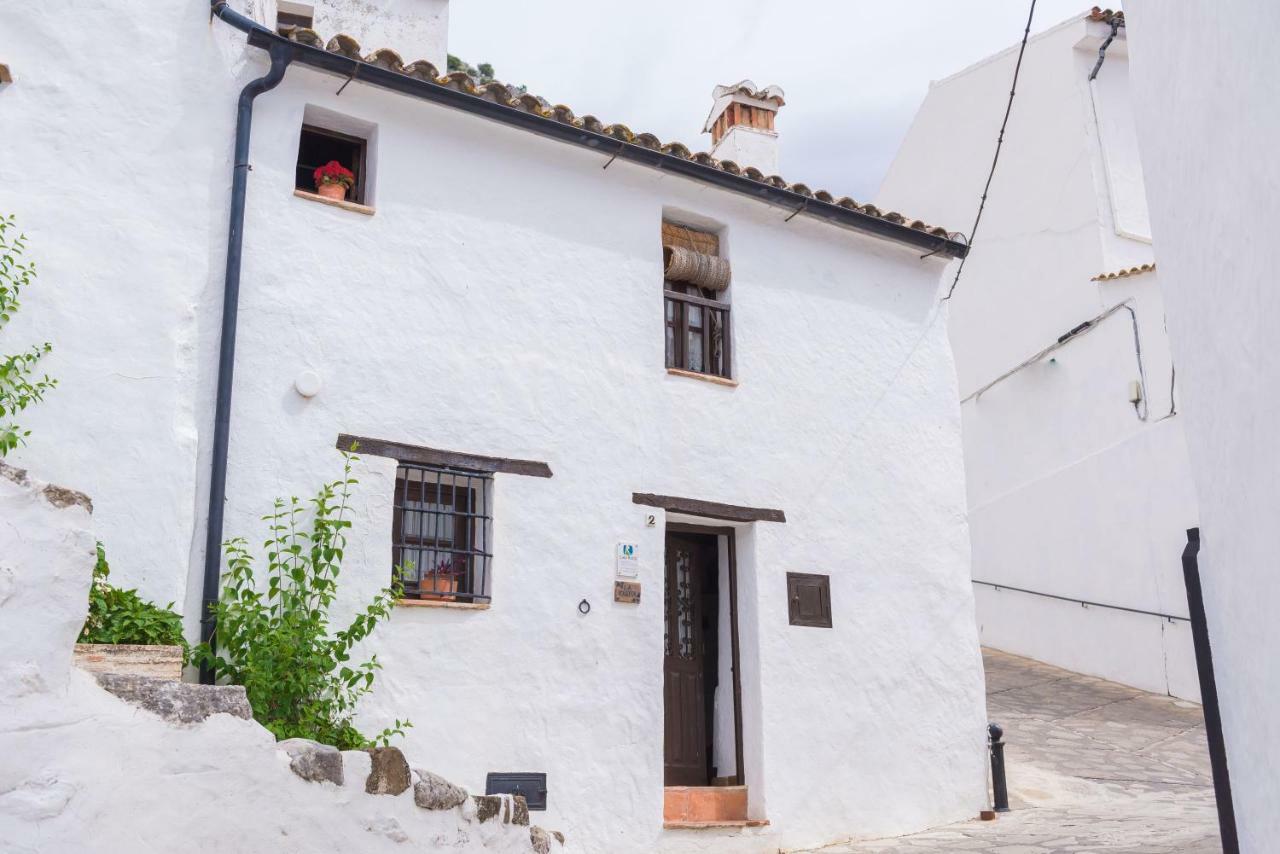 Conjunto Rural Casa Victoria Pension Villaluenga Del Rosario Buitenkant foto