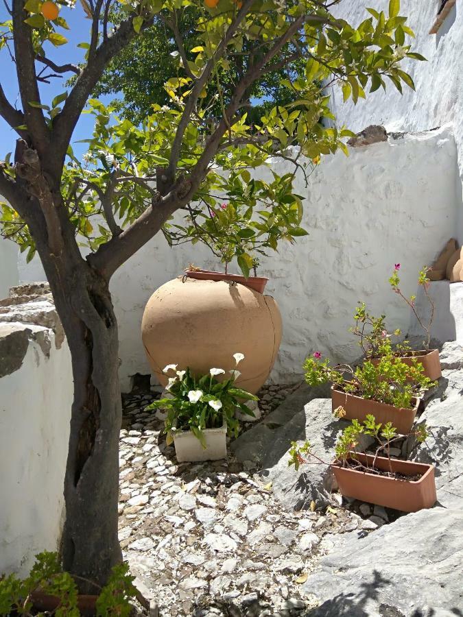 Conjunto Rural Casa Victoria Pension Villaluenga Del Rosario Buitenkant foto