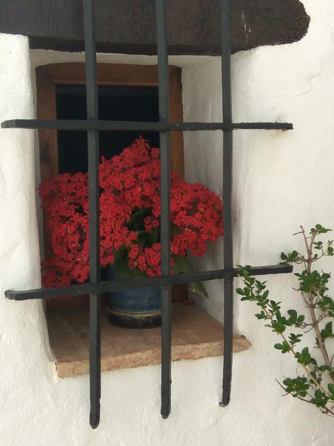 Conjunto Rural Casa Victoria Pension Villaluenga Del Rosario Buitenkant foto